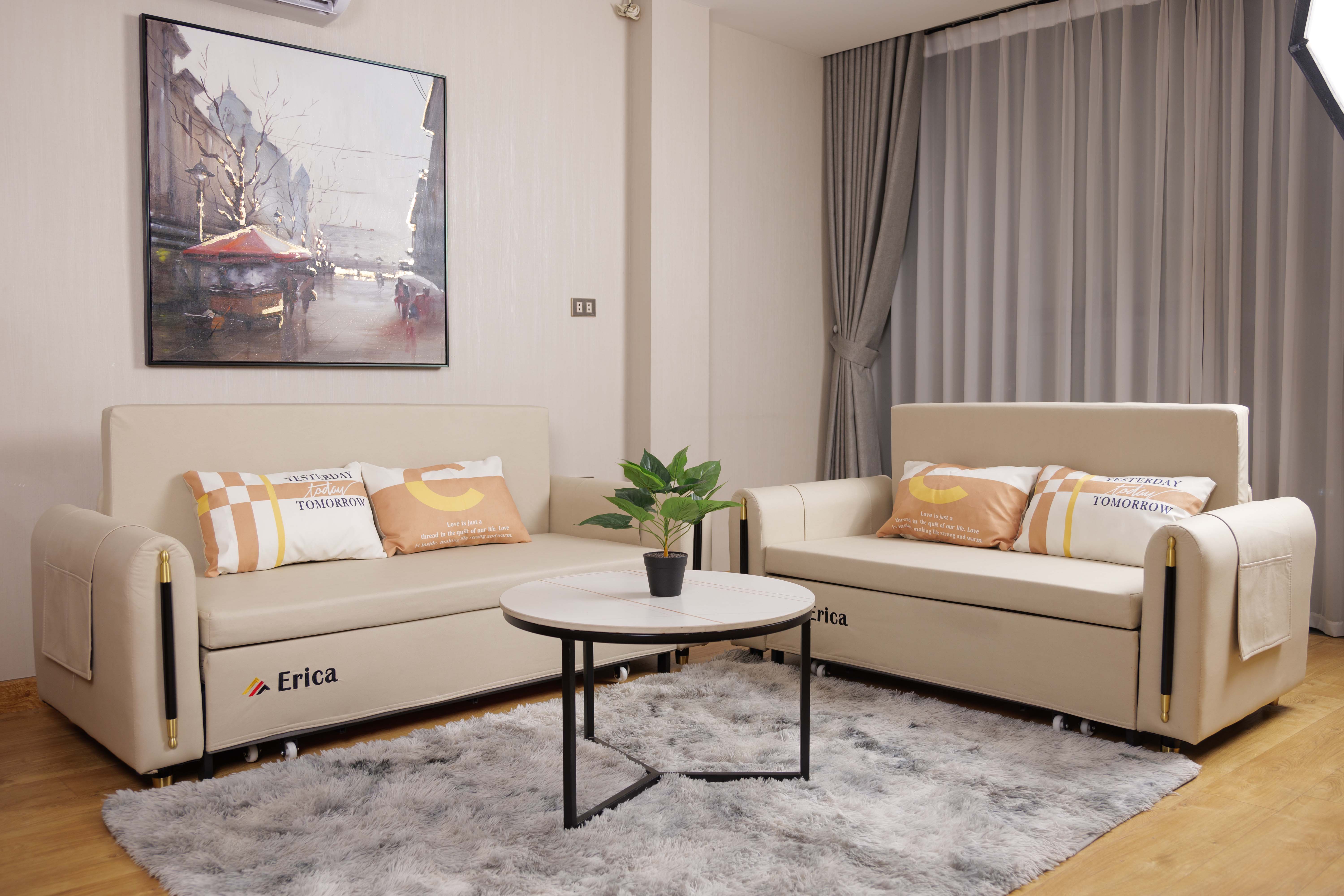 GIÁ NHƯ MÌNH BIẾT CHIẾC SOFA GIƯỜNG NẰM NÀY SỚM HƠN